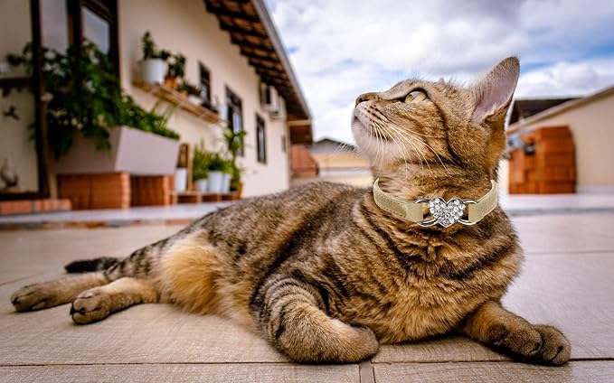 Heart Bling Cat Collar with Safety Belt and Bell Adjustable 8-10 inches for Kitten Cats (Khaki)