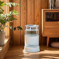 Automatic Pet Water Dispenser with 11.4 Liter Capacity, Gray