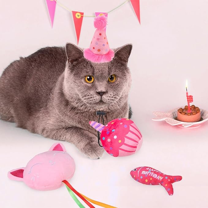 BINGPET Cat Birthday Catnip Toys for Indoor Cats, 5 Pcs Cat Birthday Gift Kitten Interactive Toys for Boy Girl Cats, Soft Plush Catmint Kitty Chew Kick Toy, Hat, Bandana, Balloon, Cake, Fish, Pink