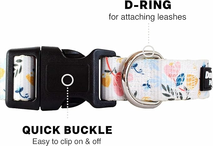 Downtown Pet Supply - Best & Fancy Dog Collar - Lightweight Adjustable with Quick Buckle & D-Ring - Hand Wash Safe - Floral - Medium