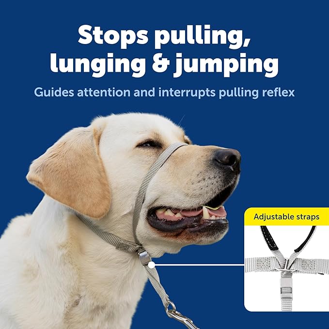 PetSafe Gentle Leader Headcollar - No-Pull Dog Collar for Better Walks - Adjustable for Snout-Specific Fit - Comfortable Head Harness - Large - Silver