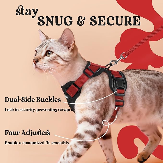 rabbitgoo Cat Harness and Leash for Walking, Escape Proof Soft Adjustable Vest Harnesses for Cats, Easy Control Breathable Reflective Strips Jacket, Black & Red, M