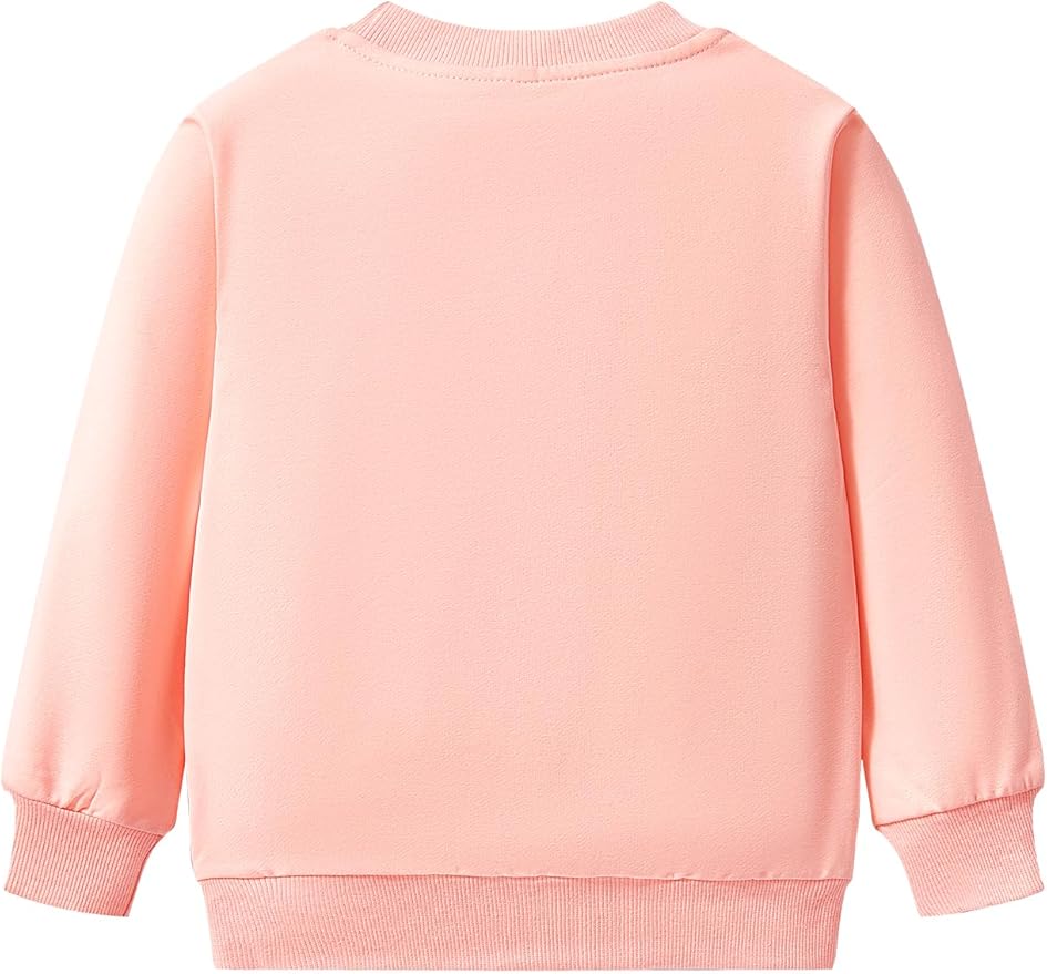 Toddler Baby Girls Cotton Sweater, Long Sleeve Crewneck Sweatshirt Pullover Kids Warm Clothing for Fall Winter
