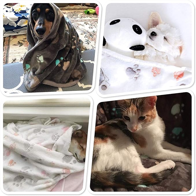 Allisandro 350 GSM-Super Soft and Premium Fuzzy Flannel Fleece Pet Dog Blanket, The Cute Print Design Washable Fluffy Blanket for Extra Large Puppy Cat Kitten Indoor or Outdoor, White, 80 x 64 Inches