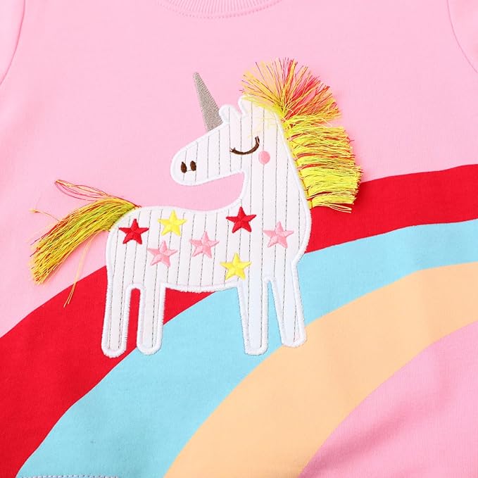 Toddler Baby Girls Cotton Sweater, Long Sleeve Crewneck Sweatshirt Pullover Kids Warm Clothing for Fall Winter