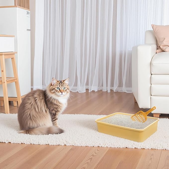 6 Set Small Cat Litter Box Kitten Litter Pan 12.3" x 8.5" x 2.7" Rabbit Plastic Litter Tray with 6 Scoop for Easy Cleaning, Hamster/Guinea Pig/Hedgehog Travel Toilet Pan
