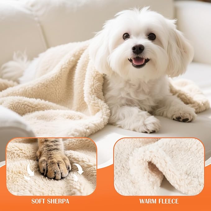 Cat Blanket for Small Dogs Puppy Cat Kitten, 16" x 24" Soft Warm Sherpa Fleece Cat Blanket Washable, Grey/Beige Pack 2