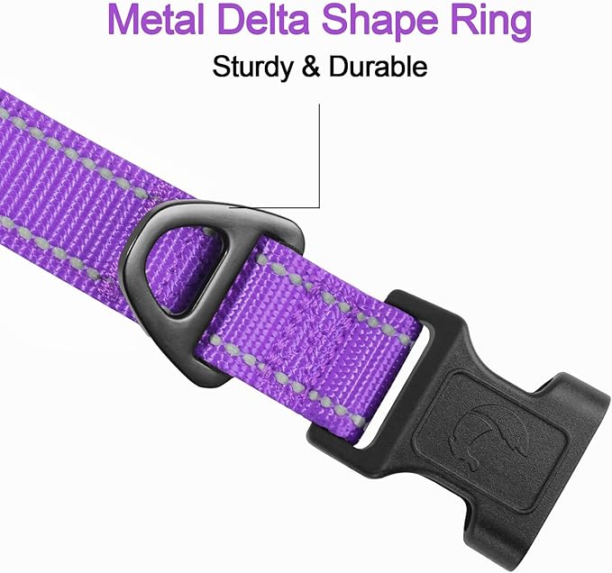 Joytale Reflective Dog Collar, Soft Neoprene Padded, Metal D-Ring, Nylon Pet Collar Adjustable for Medium Dogs, Purple, M
