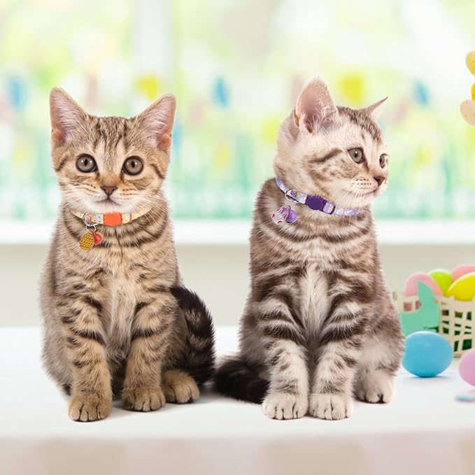 Breakaway Cat Collars for Girl Boy Cats, Spring Summer All Weather Cat Collar Personalized Pattern 2 Pack,Cute Classic Safety Buckles and Bells,Adjustable Printed Nylon Colorful Kitten Collar