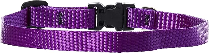 LupinePet Basics 1/2" Purple 10-16" Adjustable Collar for Small Dogs