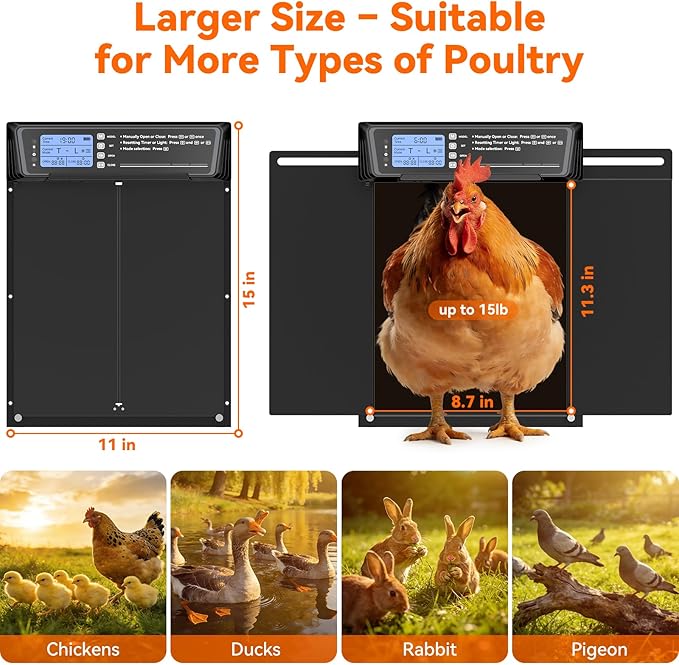 Automatic Chicken Coop Door Large Size, 7W Solar Powered with Timer & Light Sensor, Anti-Pinch Safety Chicken Door, Remote Control, Predator-Proof Aluminum Door for Poultry, Ducks & Chickens
