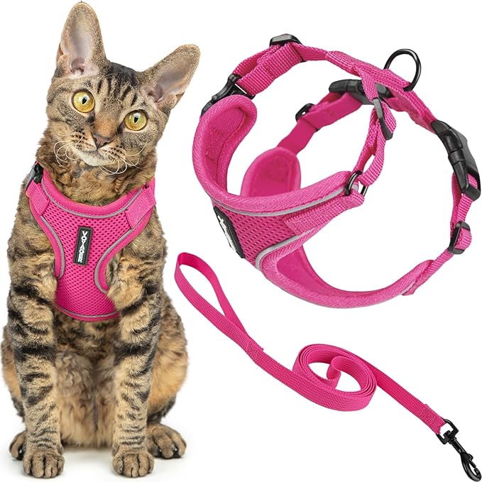 Voyager Escape-Proof Step-in Lock Cat Harness & 5ft Neoprene-Handle Leash Set All-Weather Mesh with Reflective Stitching for Small to Large Cats by Best Pet Supplies, Fuchsia (327), M