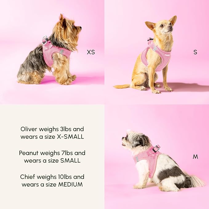 Downtown Pet Supply Step in Dog Harness for Large Dogs - Adjustable, Escape Proof Dog Harness with Reflective Trim - All-Weather, Fast-Drying Padded Mesh Fabric - Tangerine, Small