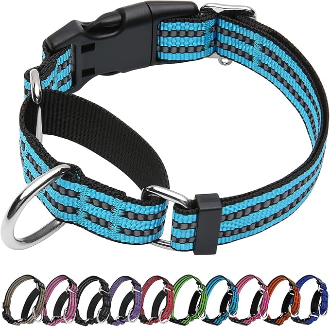 Martingale Dog Collar, Adjustable Nylon Reflective Collar with Buckle No Pull Dog Collar for Small Medium Large Dogs (Blue M)