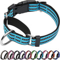 Martingale Dog Collar, Adjustable Nylon Reflective Collar with Buckle No Pull Dog Collar for Small Medium Large Dogs (Blue M)