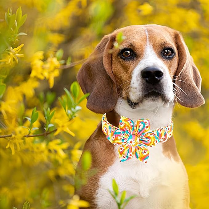 Lionheart glory Dog Collar with Flower, Sunflower Pattern Pet Collar Durable Cute Dog Flower Collars Summer Spring Female Pet Gift Adjustable Dog Collar for Large Dogs