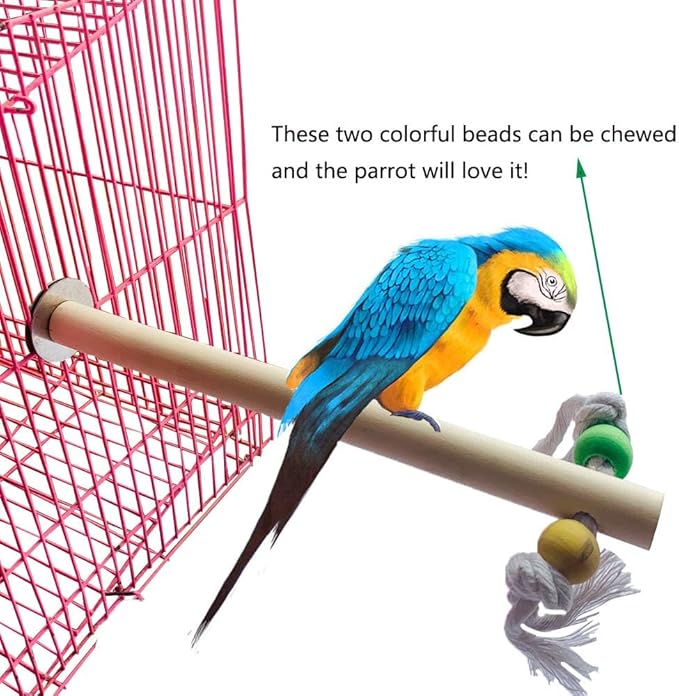 PINVNBY Bird Playground, Wood Parrot Play Gym Stand Perch Bird Cage Accessories for Small and Medium Parakeet Cockatiel Conure Love Birds Finch