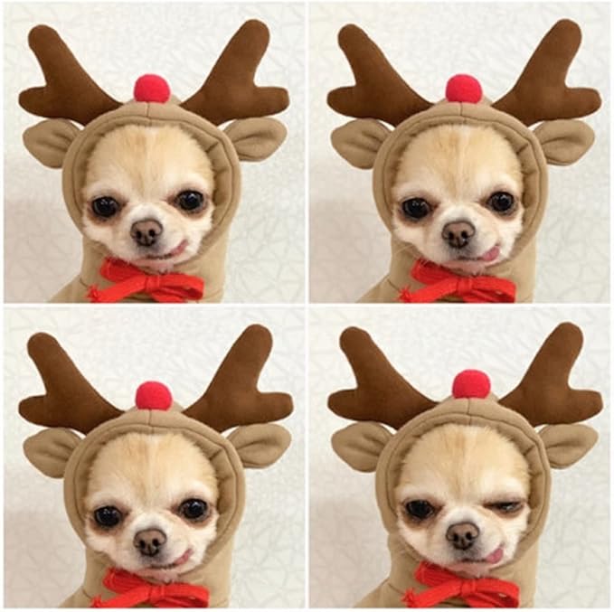 Warm Dog Winter Clothes Cute Fruit Dog Coat Hoodies Fleece Pet Dogs Costume Jacket for French Bulldog Chihuahua Ropa para Perro(Coffee,S)