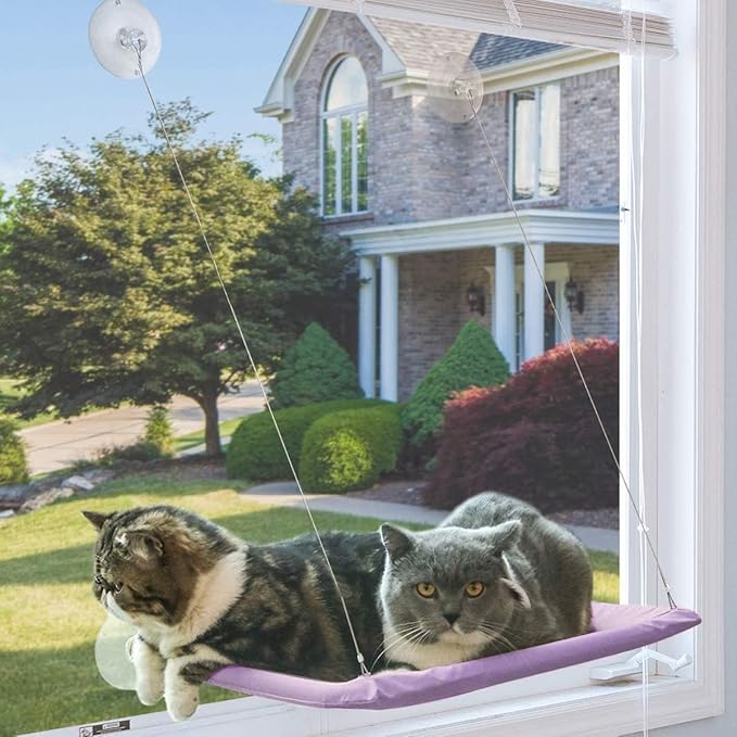 Cat Hammock - Window Bed with Suction Cups, Space Saving Indoor Cat Seat (Purple)