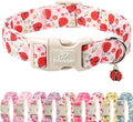 Lucky Ladybug Dog Collar for Large Dogs - Sweet Pink Girl Dog Collars, Lightweight Adjustable Spring Garden Mom Dogs Collars with Quick Release Buckle L