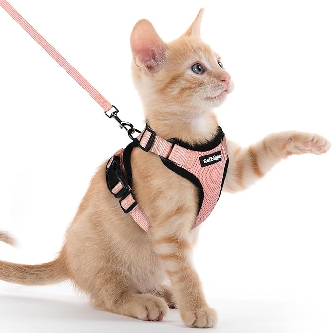 rabbitgoo Cat Harness and Leash for Walking, Escape Proof Soft Adjustable Vest Harnesses for Cats, Easy Control Breathable Reflective Strips Jacket, Light Salmon Pink, XXS