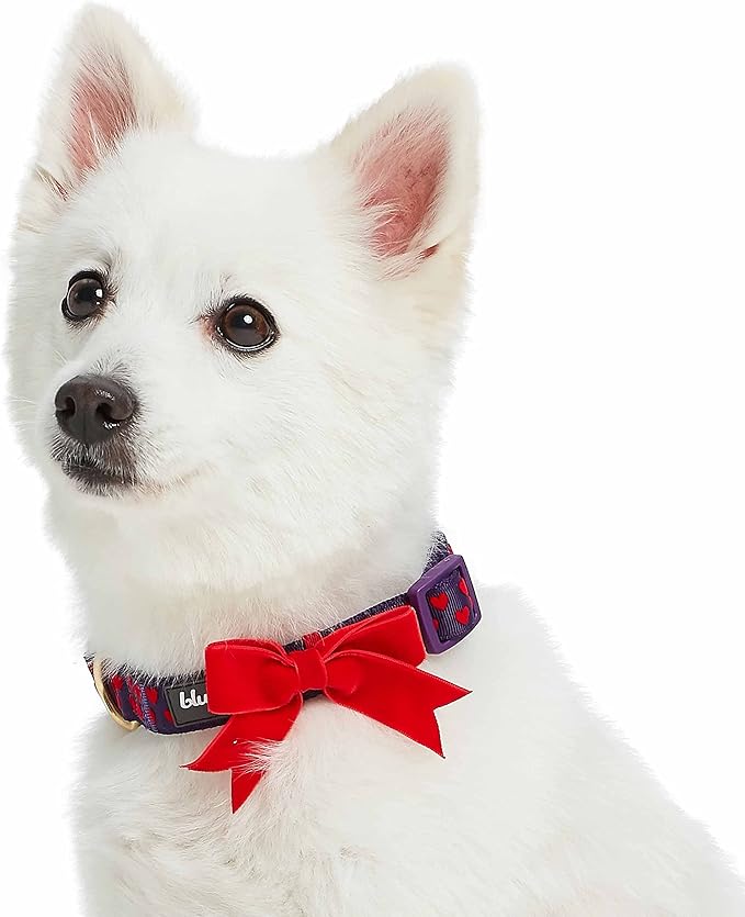 Blueberry Pet Adjustable Flocking Dog Collar with Detachable Velvety Bowtie - Heart in Gothic Grape, Small, Neck 12"-16"