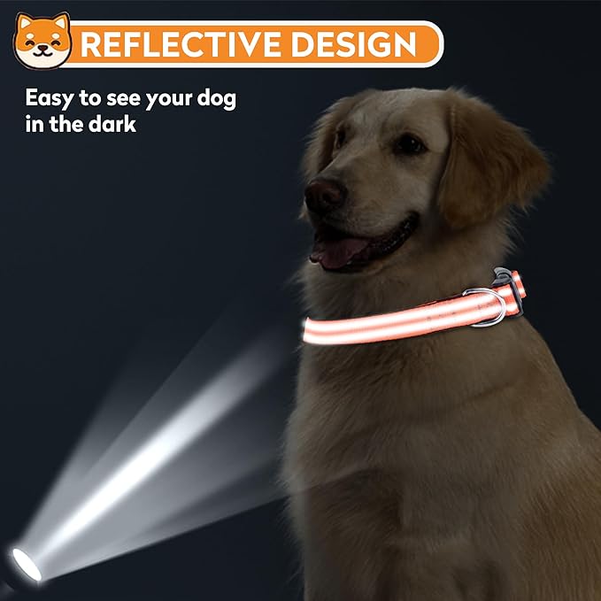 Reflective Dog Collar, Adjustable Soft Neoprene Padded Nylon Pet Collars with Buckle for Medium Dogs, Orange,M
