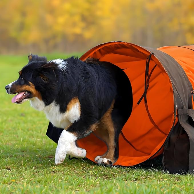 28 in 10 Foot Orange Extra Large Dog Agility Tunnel with Sandbags Dogs Agility Training Equipment Tunnel with 3 Pack Sandbags Carry Bag and 4 Ground Spikes for All Medium and Large Dogs