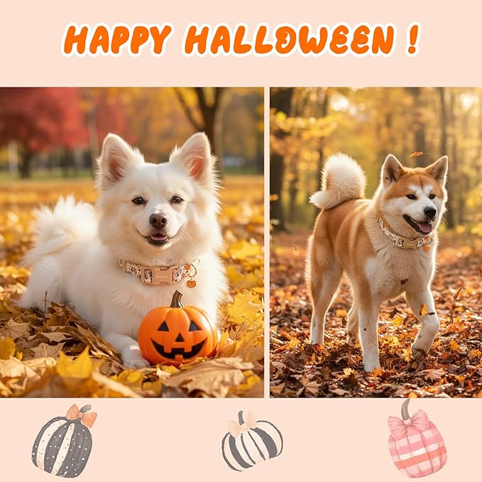 Halloween Dog Collars, Fall Dog Collar for Dogs, Fun Multi-Color Pumpkin Dog Collars for Small Dogs, Adjustable Cotton Small Dog Collar Puppy Collar for Halloween & Thanksgiving