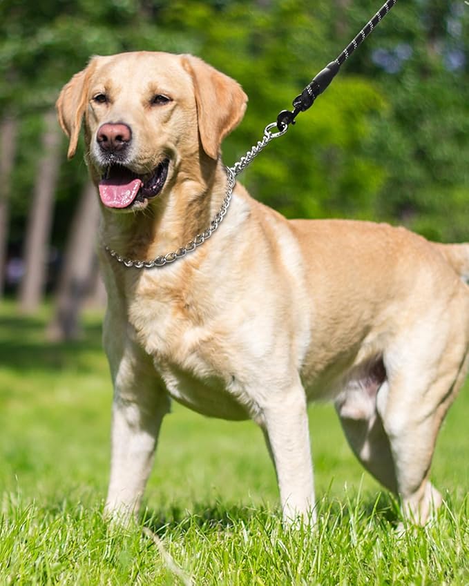 TagME Chain Choke Collar for Dogs, Adjustable Weather Proof Necklace for Medium Dogs, Alloy Steel Pet Training Collar