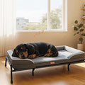 Lekereise Raised Dog Bed for Small Dog 32x25 Inch, Comfortable Orthopedic Pet Beds with Egg Crate Foam, Removable Dogs Couch Bed for Indoor Outdoor, Load 40lb, Grey