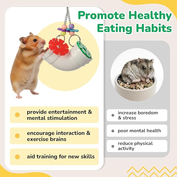 Shappy 2 Pack Rat Enrichment Toys Hanging Foraging Feeder, Interactive Treat Puzzle with Wide Opening Lid, Slow Feeding Cage Accessory for Rats, Hamsters, Guinea Pigs