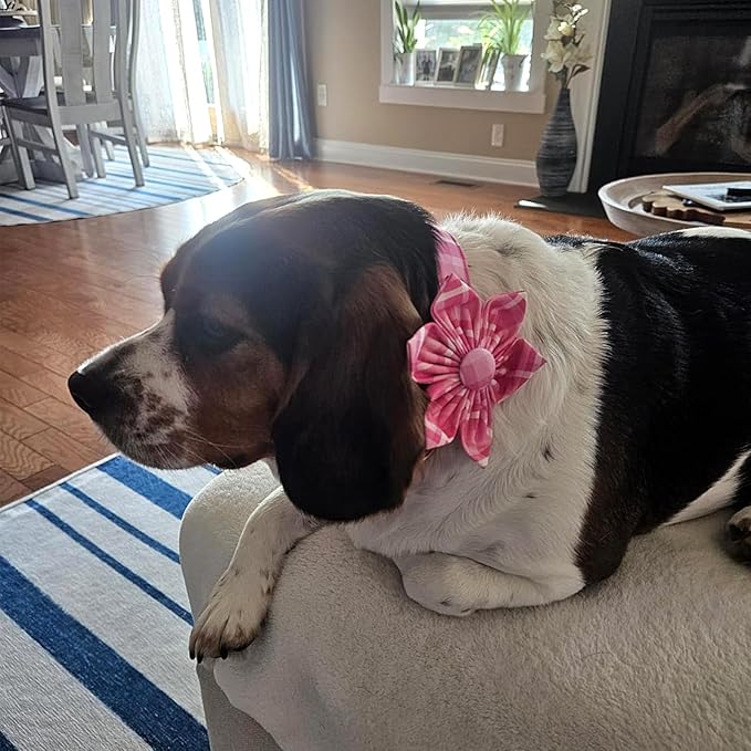 Lionheart Glory Dog Collar, Pink Dog Collars with Flower, Cute Floral Pattern Pet Collars Adjustable Dog Collar for Large Dogs