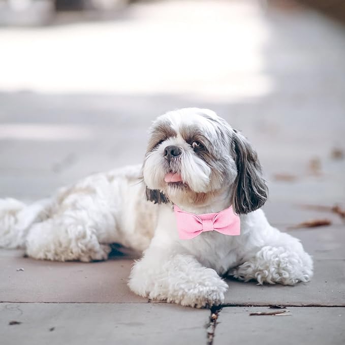 Segarty Dog Bow Tie Collar, Adjustable Pink Bowtie for Small Medium Dogs Neck Girth 10.2-14.2in, Cat Tie Tuxedo Comfortable Cotton Girl Pet Grooming Accessory for Formal Wedding Holiday Birthday Party