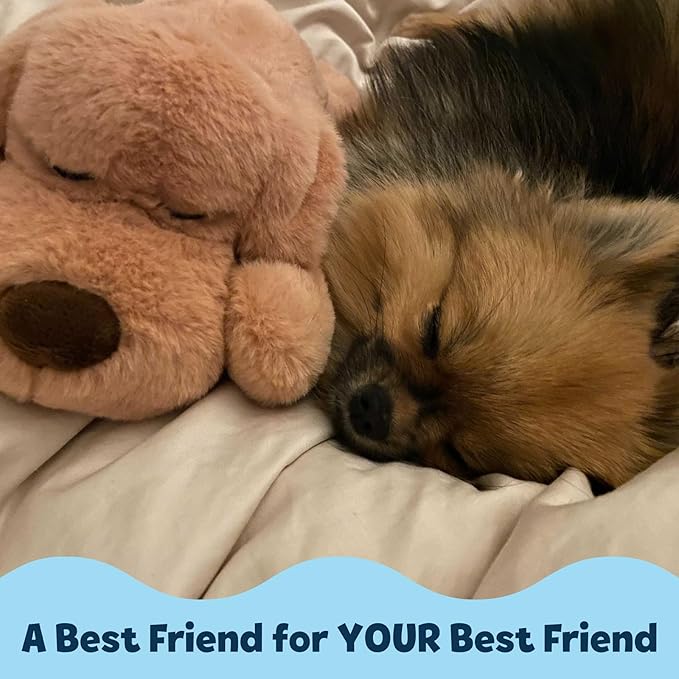 Snuggle Puppy Junior Heartbeat Puppy Toy - Heartbeat Puppy for Dogs - Pet Anxiety Relief and Calming Aid - Comfort Dog Toy - Behavioral Training and Sleep Aid Cuddle Buddy - Biscuit