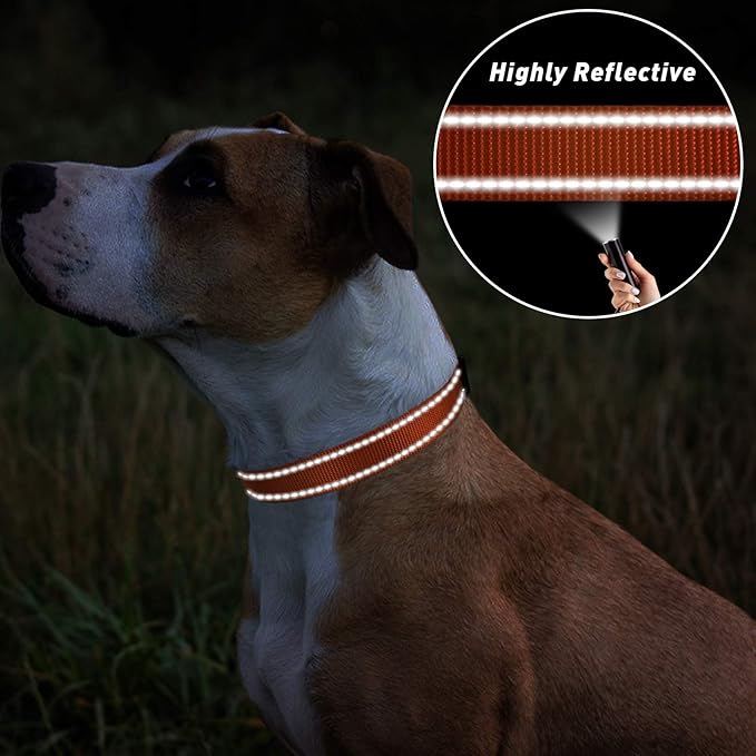 TagME Reflective Nylon Dog Collars, Adjustable Classic Pet Collar with Quick Release Buckle for Small Dogs, Orange, 5/8" Width