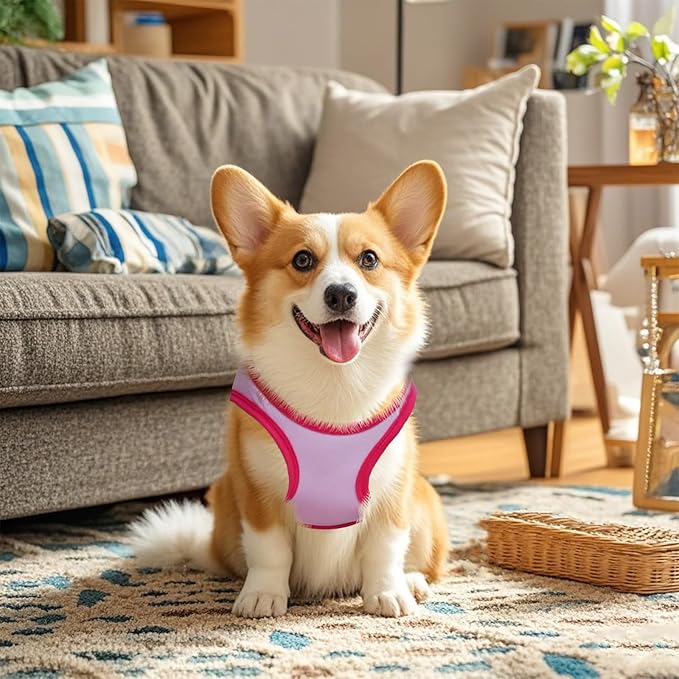 4 Pack Dog Shirts Summer Printed Puppy Clothes Cute Sleeveless Pet T Shirts Dog Clothes for Small Medium Dogs Cats Girl(XS)