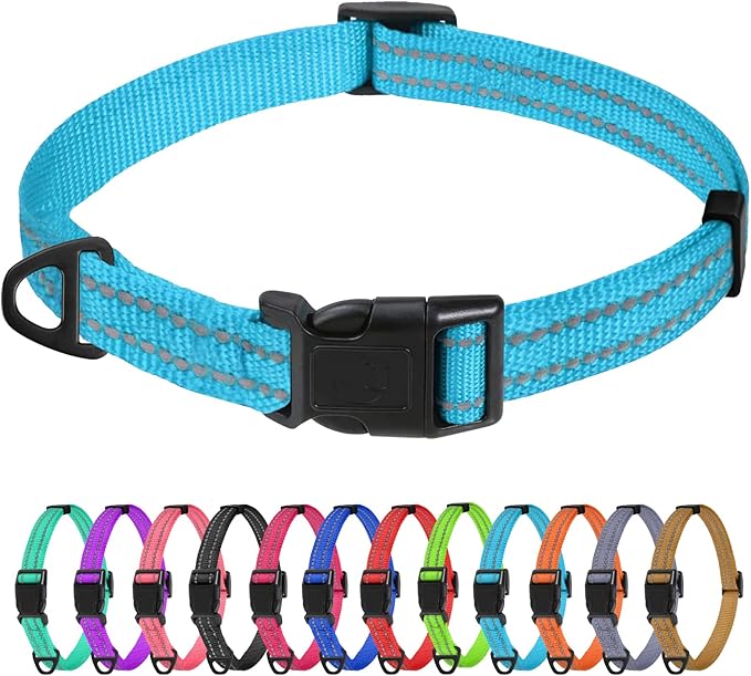 TagME Reflective Nylon Dog Collars, Adjustable Classic Pet Collar with Quick Release Buckle for Extra Small Dogs, Sky Blue, 5/8" Width