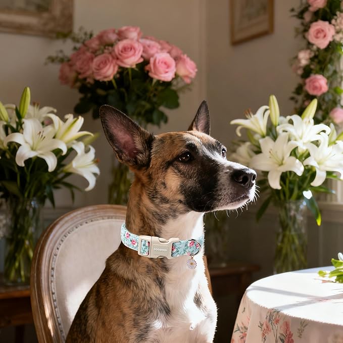 DOGWONG Floral Dog Collar, Cute Adjustable Flower Collar, Girl Female Dog Collar with Strong Plastic Buckle for Small Medium Large Dogs,XL