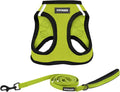 Best Pet Supplies Voyager Step-in Air All Weather Mesh Harness and Reflective Dog 5 ft Leash Combo with Neoprene Handle, for Small, Medium and Large Breed Puppies - Lime/Black Trim, X-Small