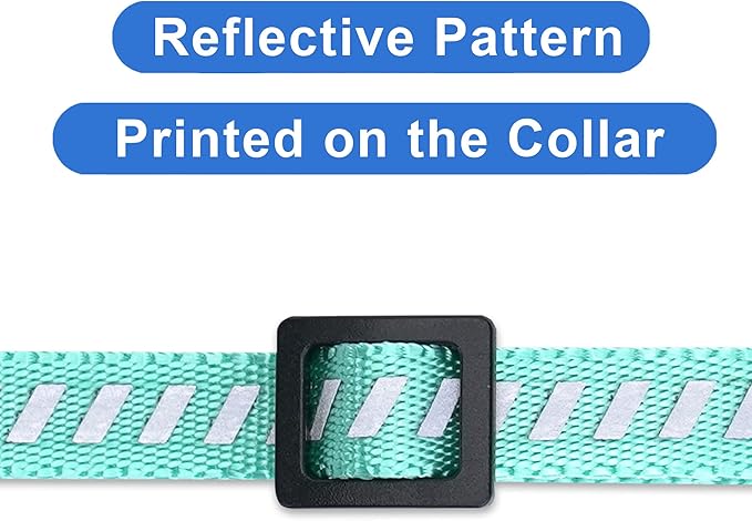 Pawtitas Personalized Teal Reflective Cat Collar – Adjustable Custom Collar with Safety Buckle, Removable Bell, and Engraved Name & Phone Number for Kittens and Adult Cats