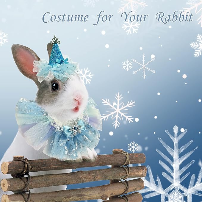 Small Animal Birthday Princess Costume for Rabbit Guinea Pig Crown Hat Tutu Skirt Rabbit Princess Hat Bunny Bandana Halloween Small Pet Outfit for Guinea Pig Bunny Hedgehog S