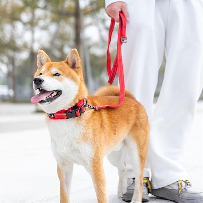 EXCELLENT ELITE SPANKER Reflective Dog Collar Classic Soft Padded Breathable Nylon Adjustable Pet Collar with Quick Release Buckle for Boy Girl Male Female Small Medium Large Dogs Training(Red-XL)