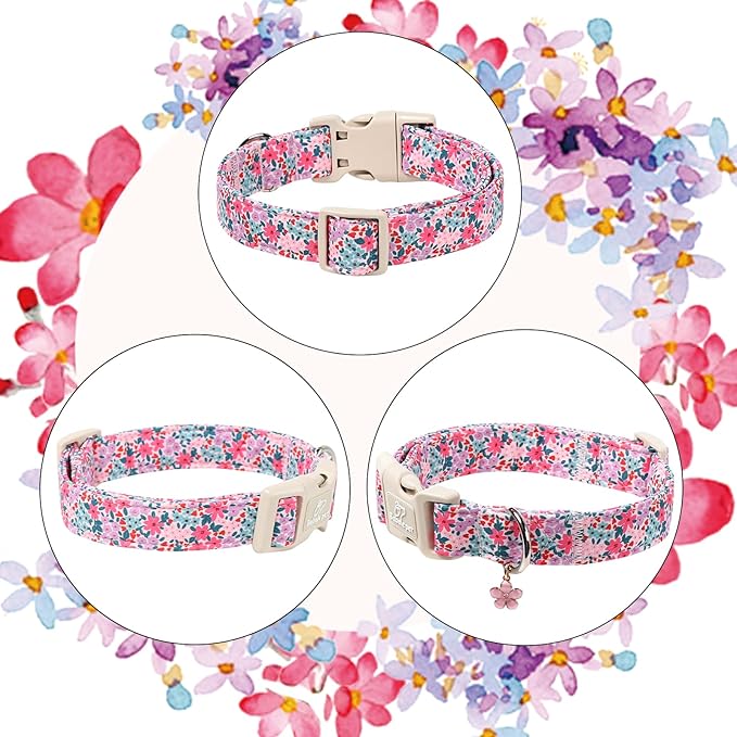 Floral Dog Collar, Cute Girl Dog Collars - Pastel Wildflowers Pattern Spring Summer Puppy Collar, Adjustable Female Dog Collars for Small Medium Large Dogs M