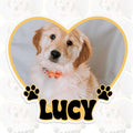 Custom Pet Photo Heart Sticker Personalized Pet Name Decal Cute Pawprint Design Waterproof Durable Vinyl for Laptops Water Bottles Cars Pets Owners Gift Animal Lover Customizable Dog Cat Portrait