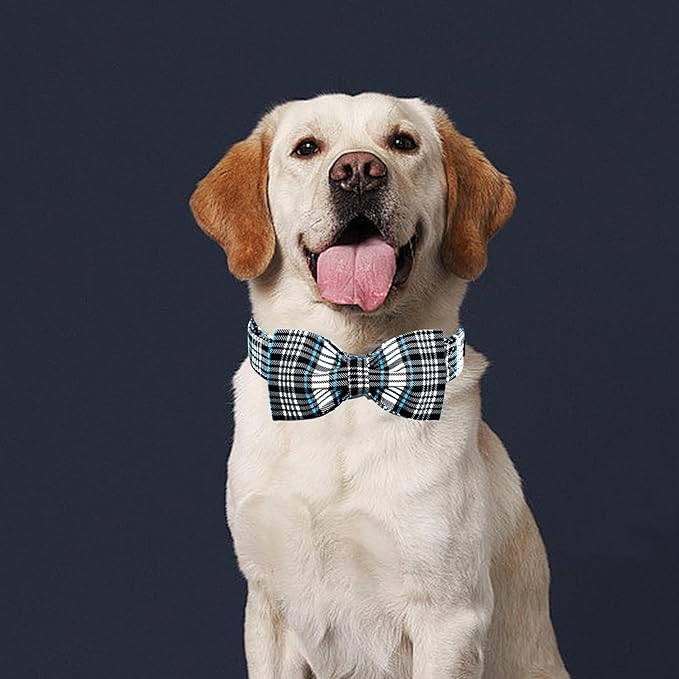 Lionheart glory Dog Bow Collar Blue and Black Plaid Dog Collar for Large Dogs,Boy Dog Collars with Bowtie Spring Summer Collars Soft Adjustable Pet Collar Bows