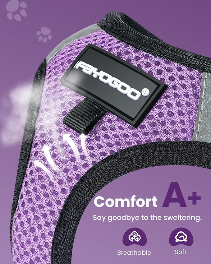 FAYOGOO Cat Harness, Cat Leash and Harness Set for Walking Escape Proof, Harness for Small Cats/Small Dogs, Large Kitten/Puppy Harness and Leash, Harness for Cats S-XXL(Modern Violet, XX-Large)