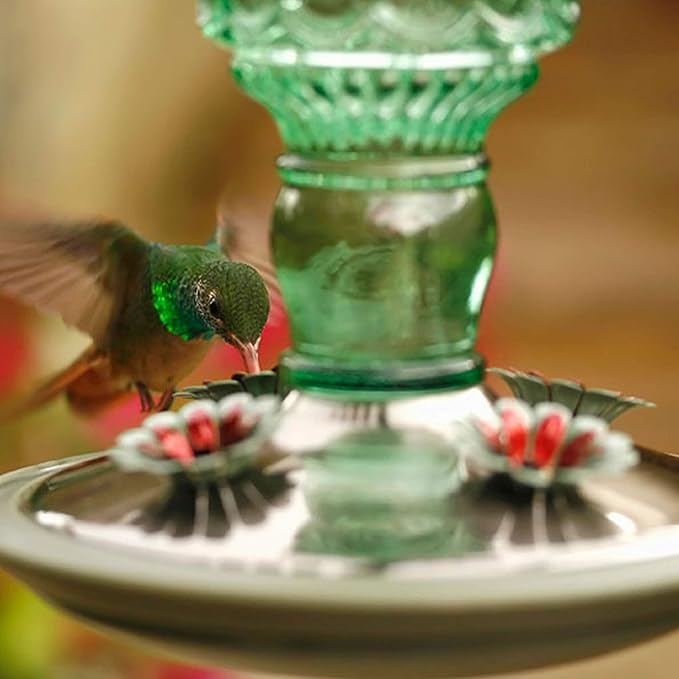 Perky-Pet Glass Bottle Hummingbird Feeder - Outdoor Garden Décor Humming bird Feeder, 8108-1SR - 10 Fl Oz Nectar Capacity - Durable Green Antique Design - Hang from Tree, Porch, Deck, Hook