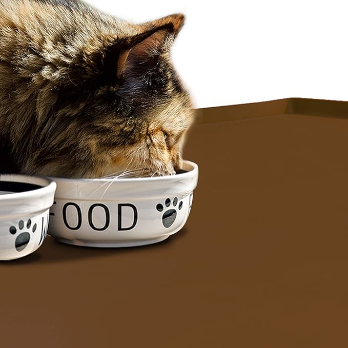 Dog Food Mat,Silicone Waterproof Food Tray,Non Slip Pet Bowl Mats Placemat,0.6" Raised Edge,Suitable for Most Small and Medium Sized Pets,24" x 16"