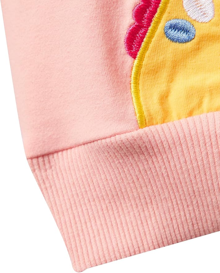 Toddler Baby Girls Cotton Sweater, Long Sleeve Crewneck Sweatshirt Pullover Kids Warm Clothing for Fall Winter